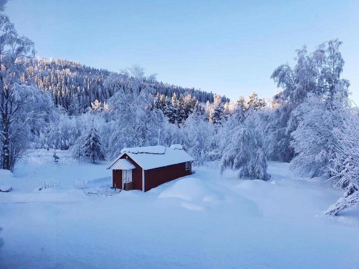 Luxury Guesthouse 'Lodge Lagom' - Hammarstrand-Jaemtland Dış mekan fotoğraf